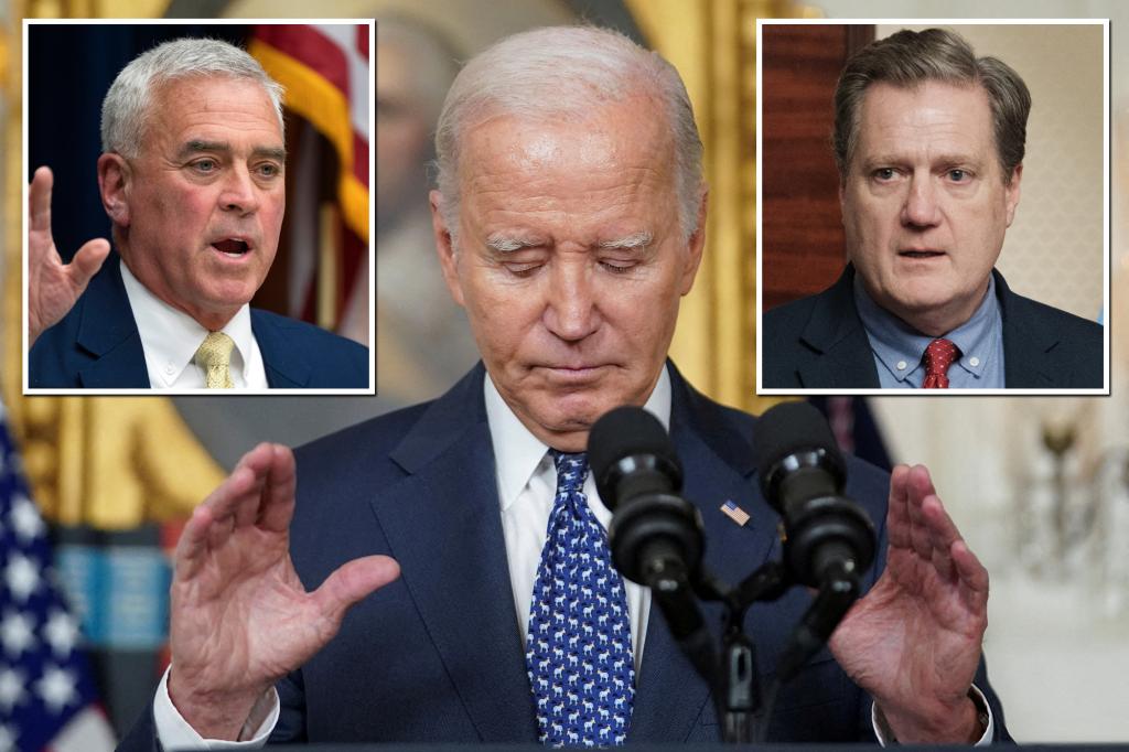 Republicans concerned about national security threats, Bidenâs competency after shocking classified docs probe